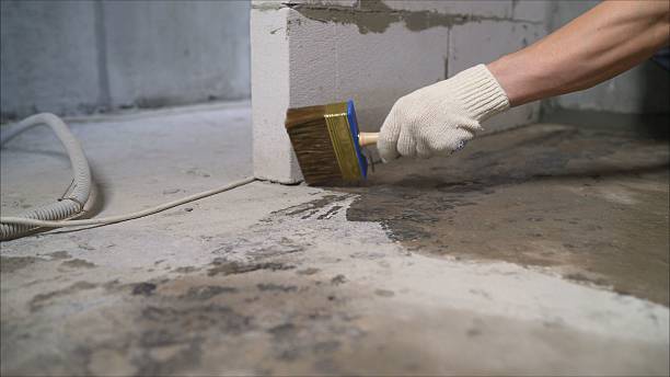 24/7 Emergency Crawl Space Encapsulation experts in Woodbine, GA